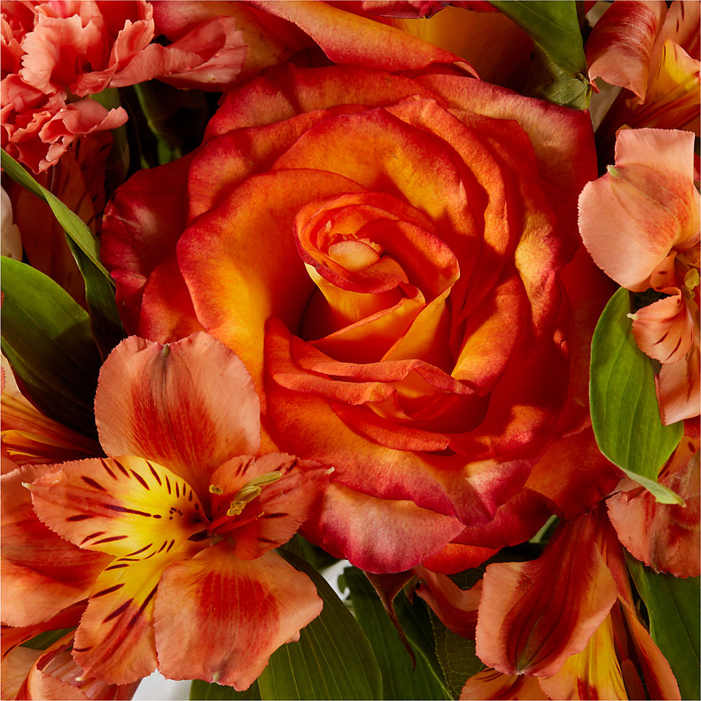 Apricot Glow Bouquet –  Natural Flowers Llc, Centreville VA
