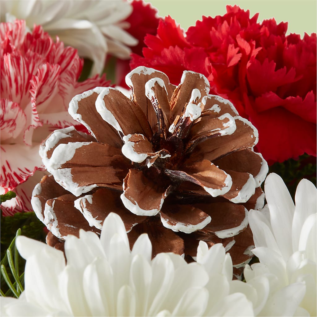 Candy Cane Lane Bouquet –  Natural Flowers Llc, Centreville VA