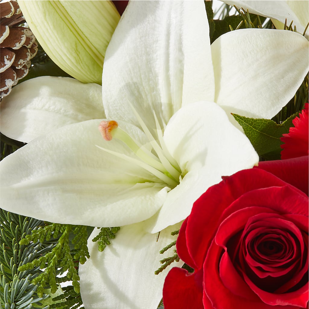 Oh So Jolly Bouquet –  Natural Flowers Llc, Centreville VA