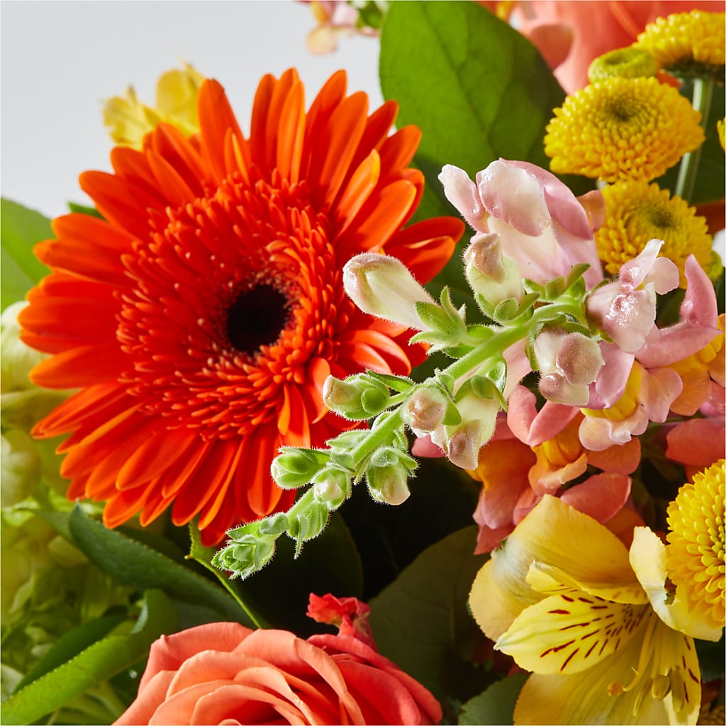Autumn Sunshine Bouquet –  Natural Flowers Llc, Centreville VA