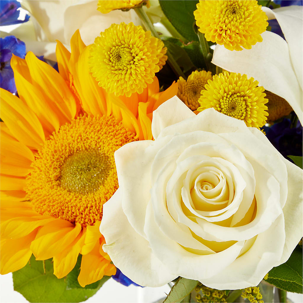 Stargazing Bouquet –  Natural Flowers Llc, Centreville VA