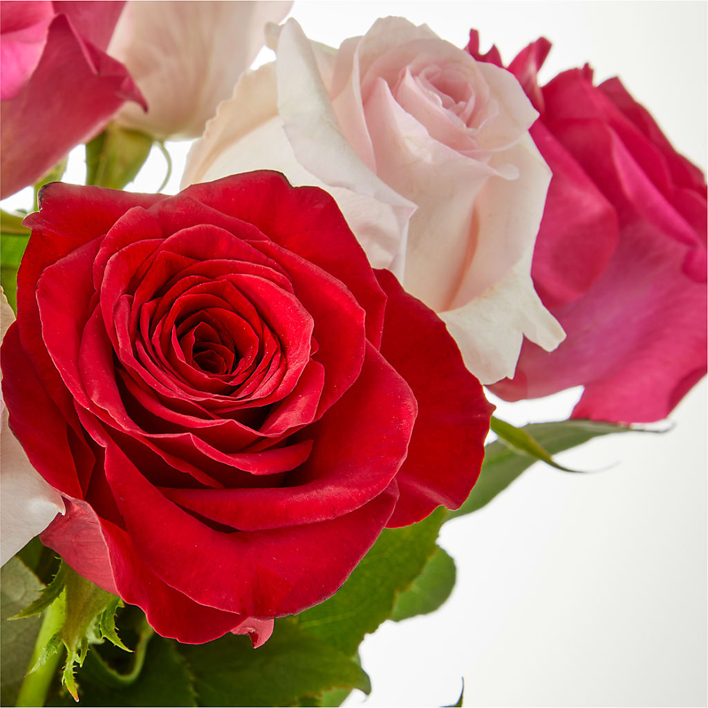 Charming Rose Bouquet –  Natural Flowers Llc, Centreville VA