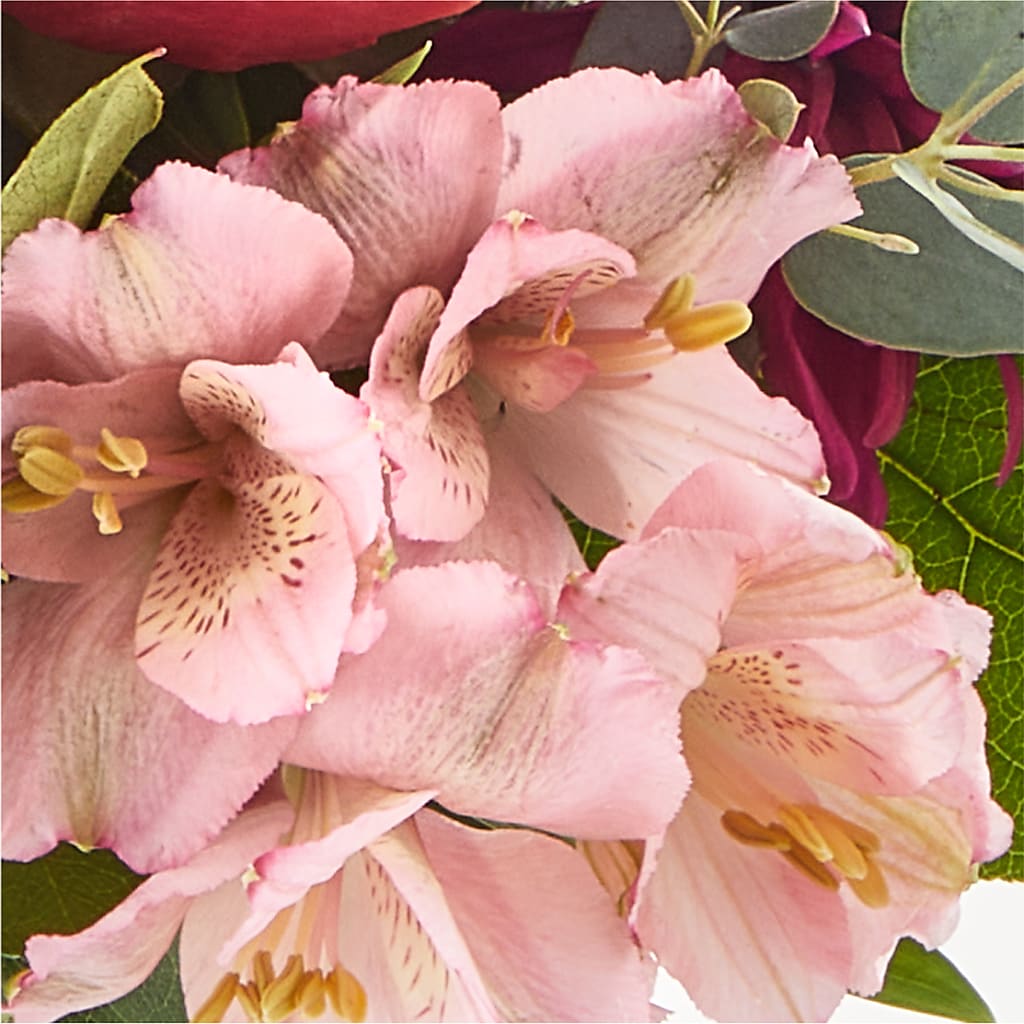 Berry Cobbler Bouquet –  Natural Flowers Llc, Centreville VA