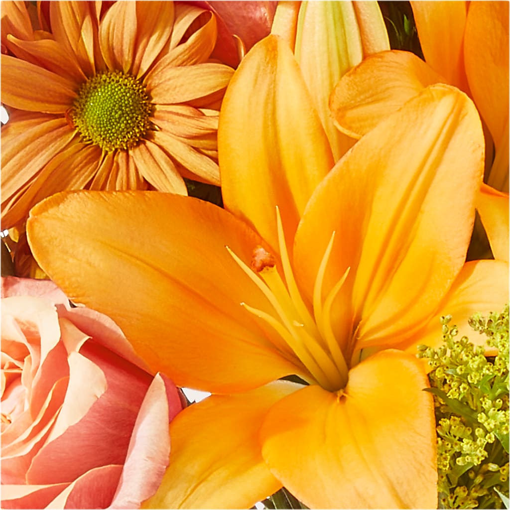 Harvest Hayride Bouquet –  Natural Flowers Llc, Centreville VA