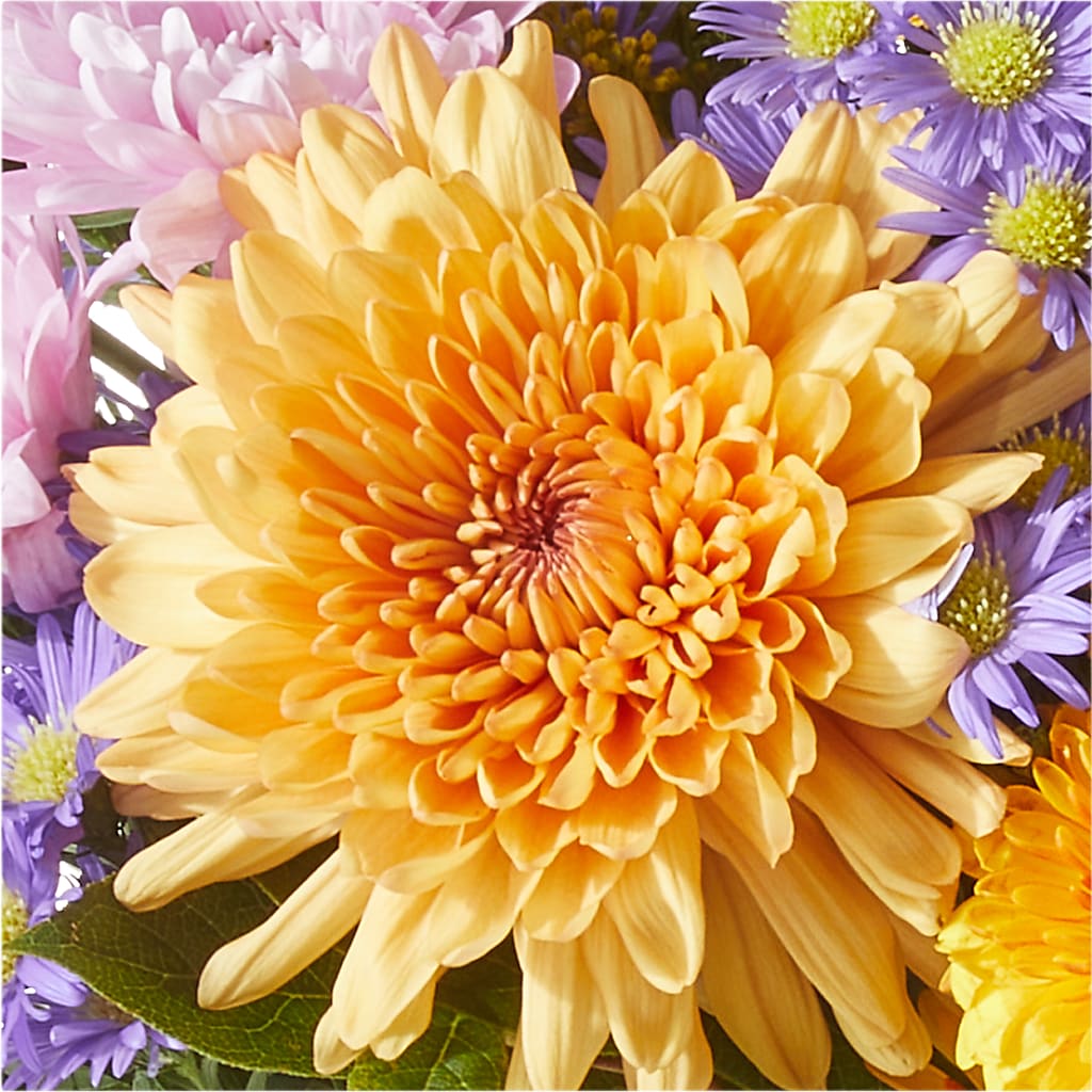 Countryside Bouquet –  Natural Flowers Llc, Centreville VA