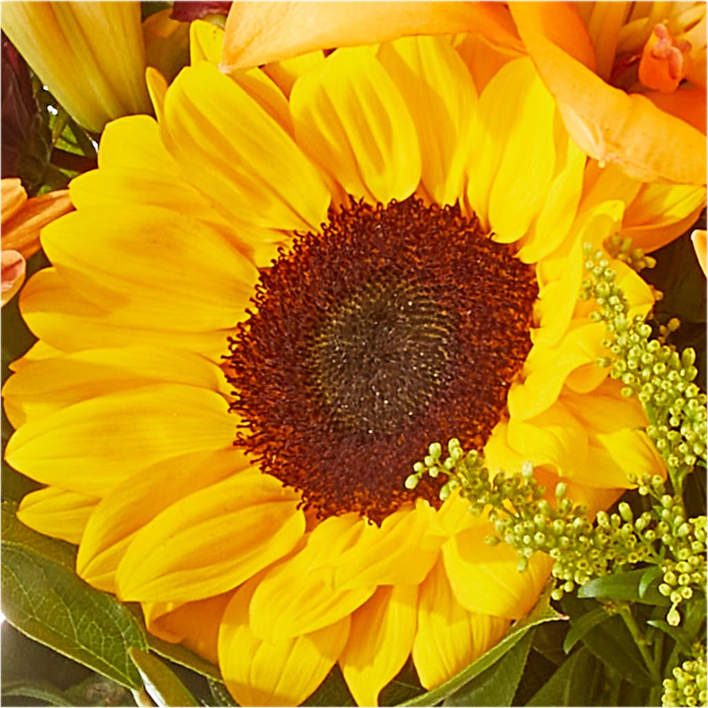 Seasons Change Bouquet –  Natural Flowers Llc, Centreville VA