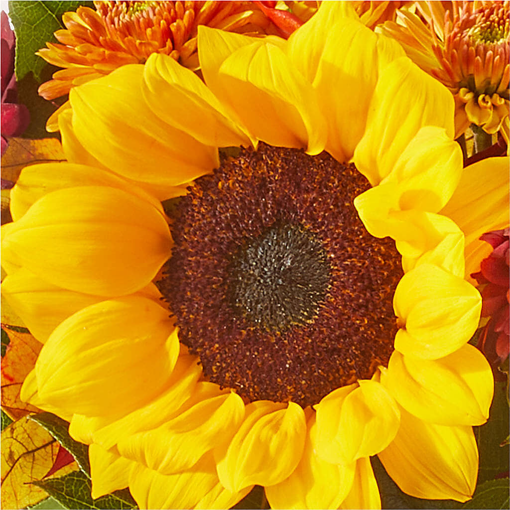 Sunny Side Bouquet –  Natural Flowers Llc, Centreville VA