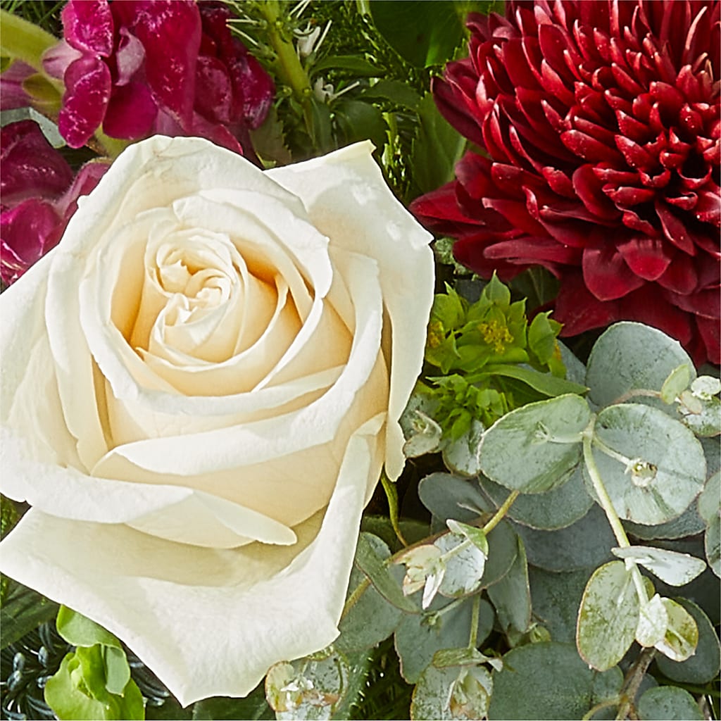 Cranberry Fizz Bouquet –  Natural Flowers Llc, Centreville VA