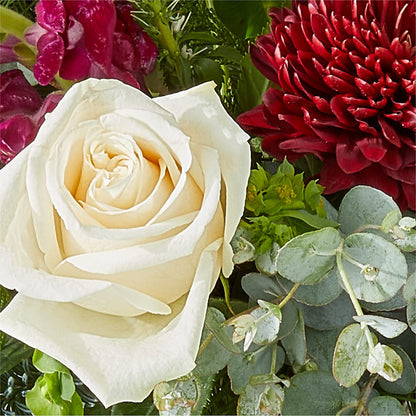 Cranberry Fizz Bouquet –  Natural Flowers Llc, Centreville VA