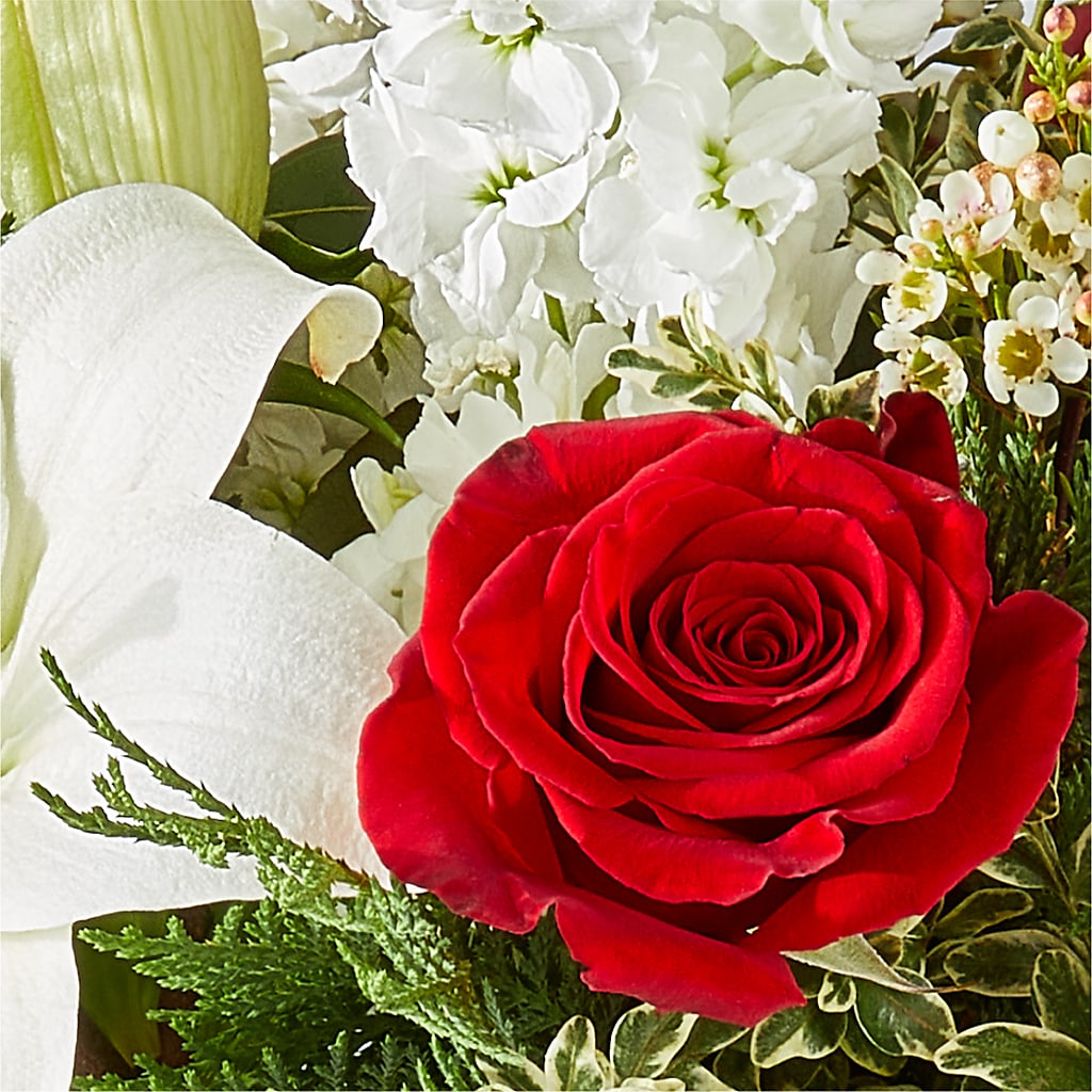 Twinkle Lights Bouquet –  Natural Flowers Llc, Centreville VA