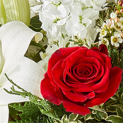 Twinkle Lights Bouquet –  Natural Flowers Llc, Centreville VA