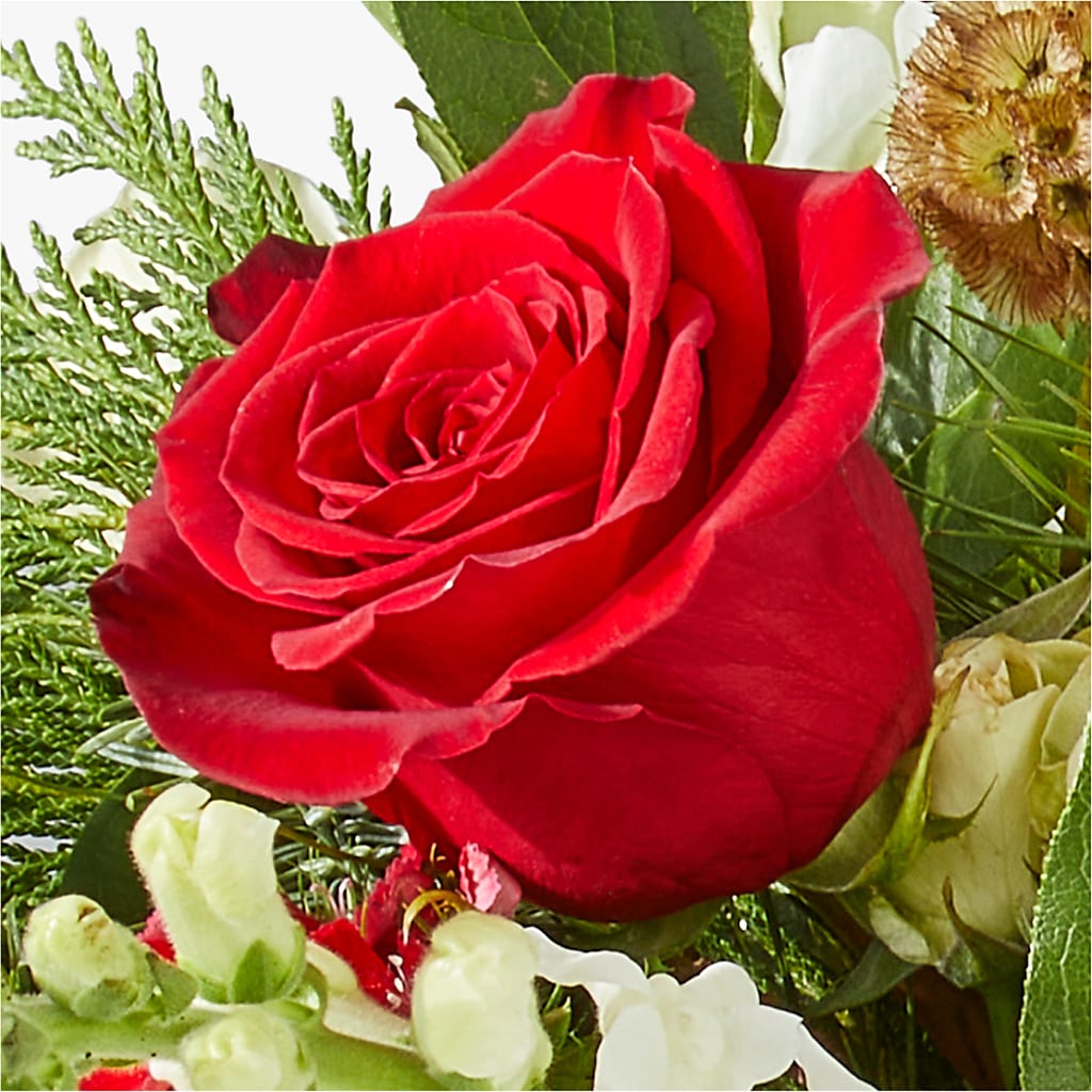 Deck the Halls Bouquet –  Natural Flowers Llc, Centreville VA