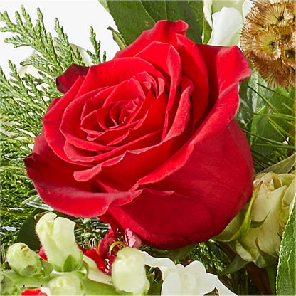 Deck the Halls Bouquet –  Natural Flowers Llc, Centreville VA