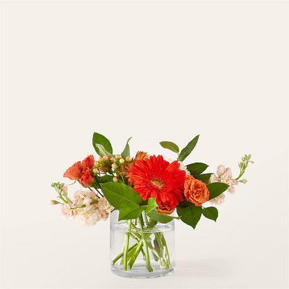 Paloma Please Bouquet –  Natural Flowers Llc, Centreville VA