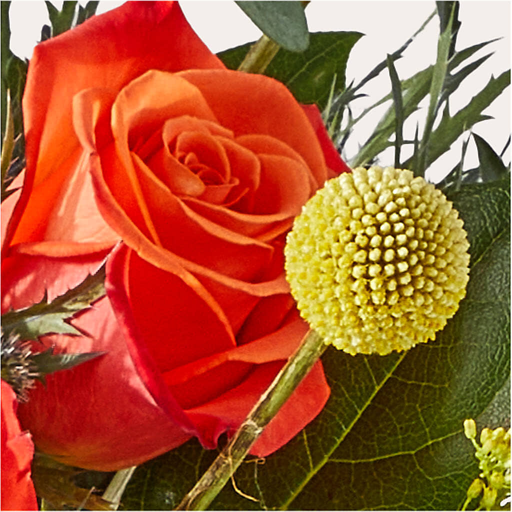 Disco Bouquet –  Natural Flowers Llc, Centreville VA