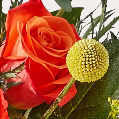 Disco Bouquet –  Natural Flowers Llc, Centreville VA