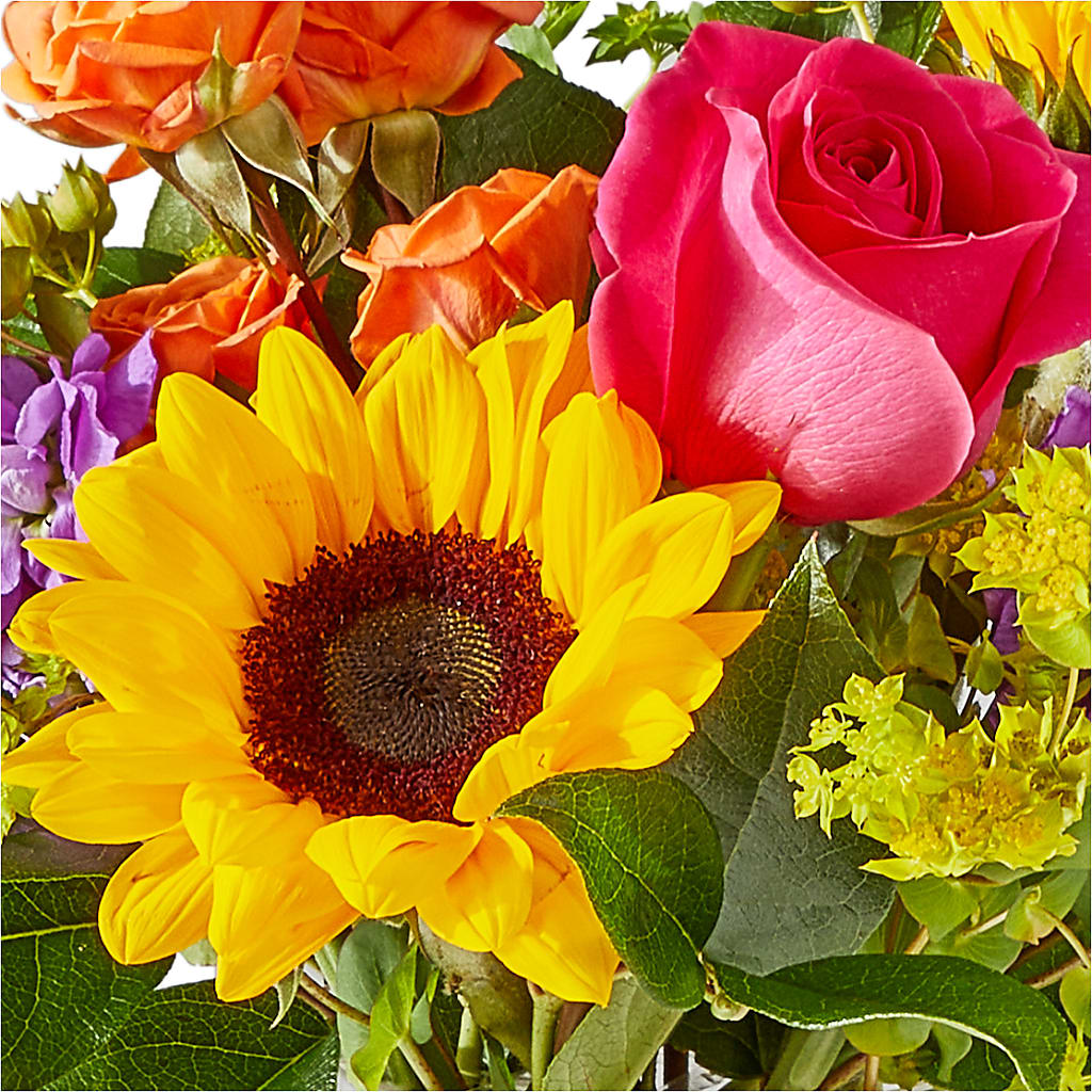 Vibrant Greetings Bouquet –  Natural Flowers Llc, Centreville VA