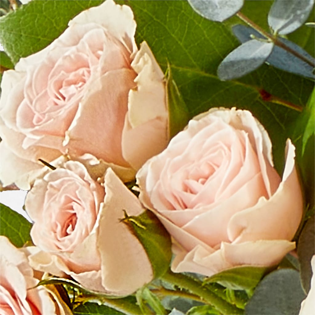 Inspired Bouquet –  Natural Flowers Llc, Centreville VA