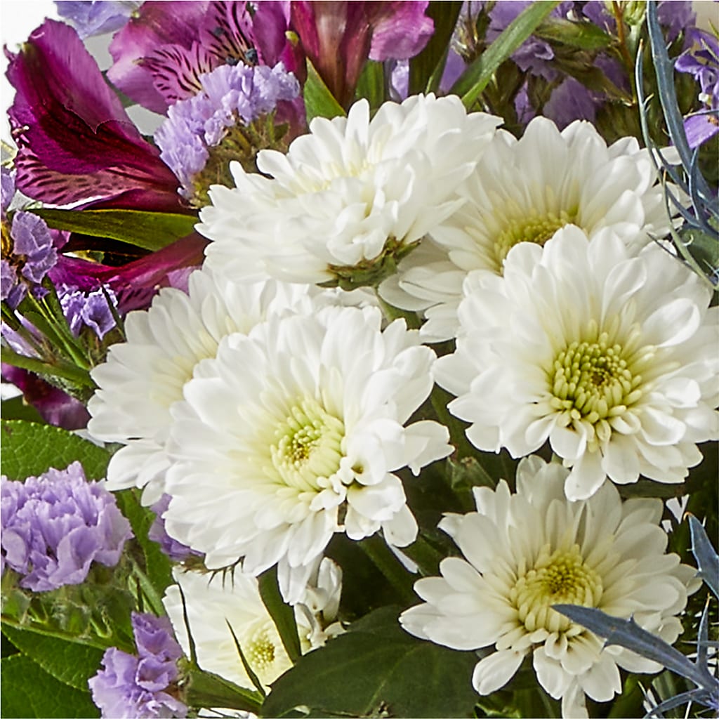 Shooting Star Bouquet –  Natural Flowers Llc, Centreville VA