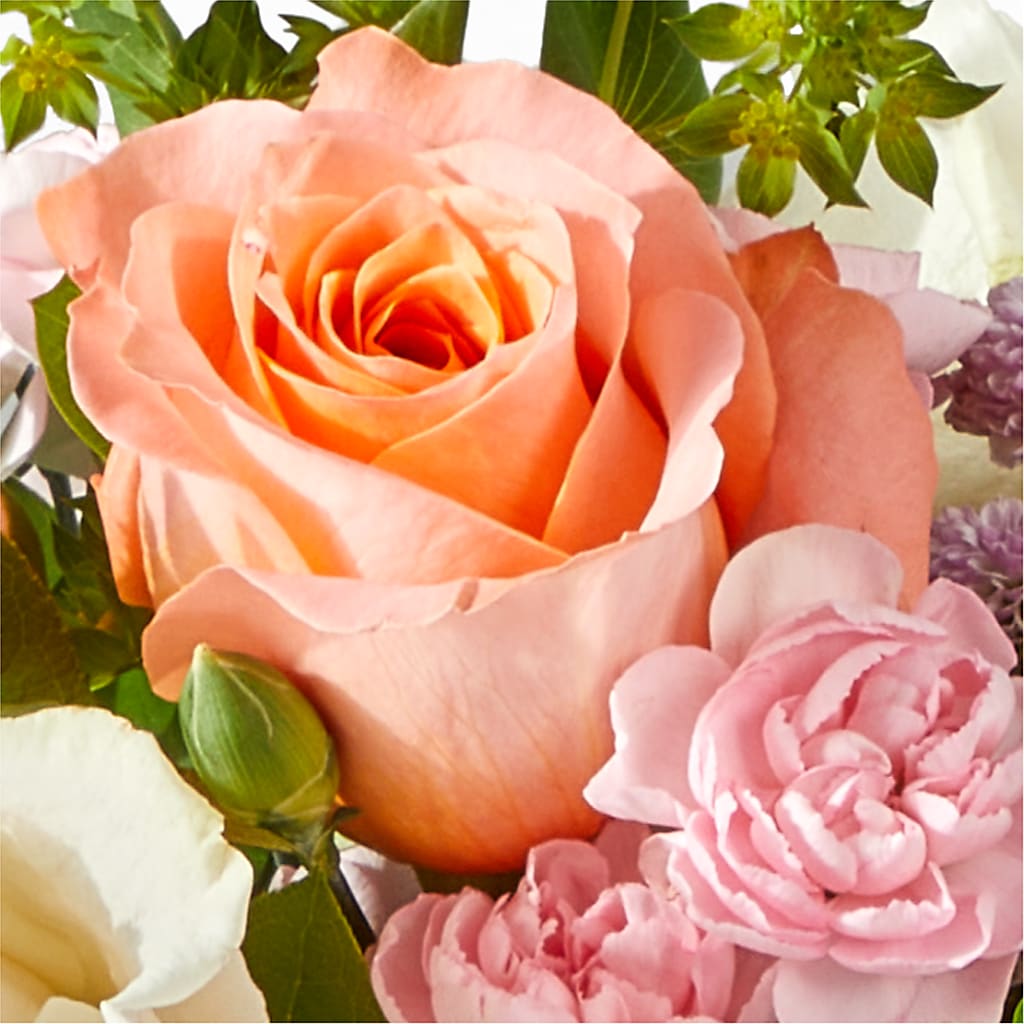 French Market Bouquet –  Natural Flowers Llc, Centreville VA