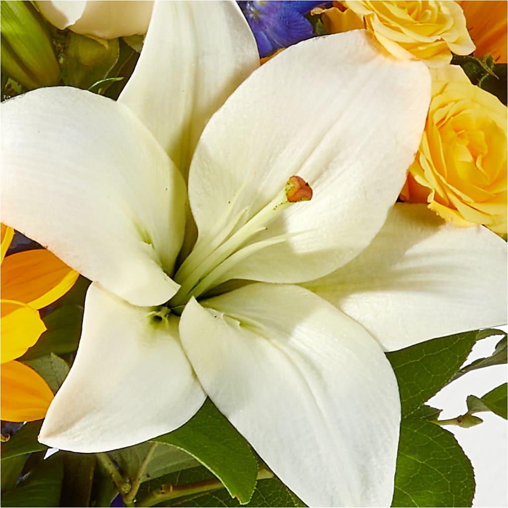 Wonderfully Sunny Bouquet –  Natural Flowers Llc, Centreville VA