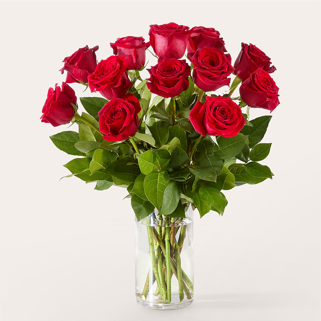 The One Red Rose Bouquet –  Natural Flowers Llc, Centreville VA