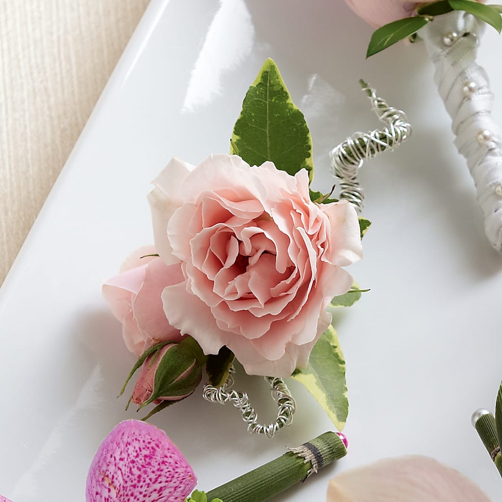 Pink Spray Rose Boutonniere –  Natural Flowers Llc, Centreville VA