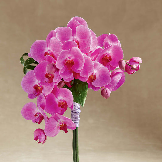 Glorious Bouquet –  Natural Flowers Llc, Centreville VA