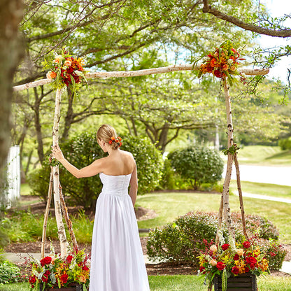 Arbor of Love Archway –  Natural Flowers Llc, Centreville VA