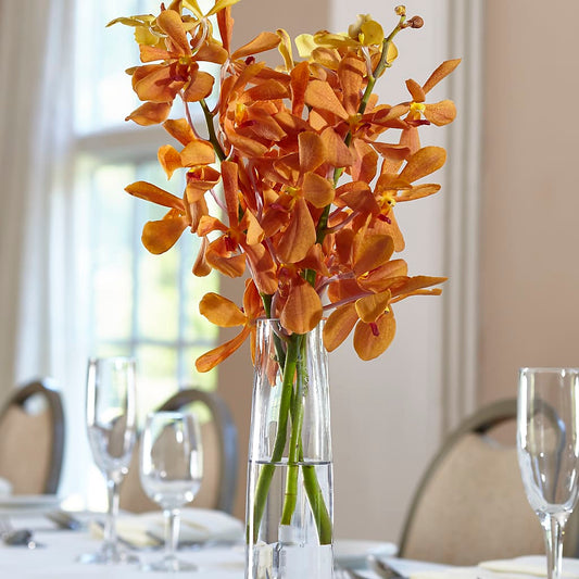 Orange Mokara Bud Vase –  Natural Flowers Llc, Centreville VA
