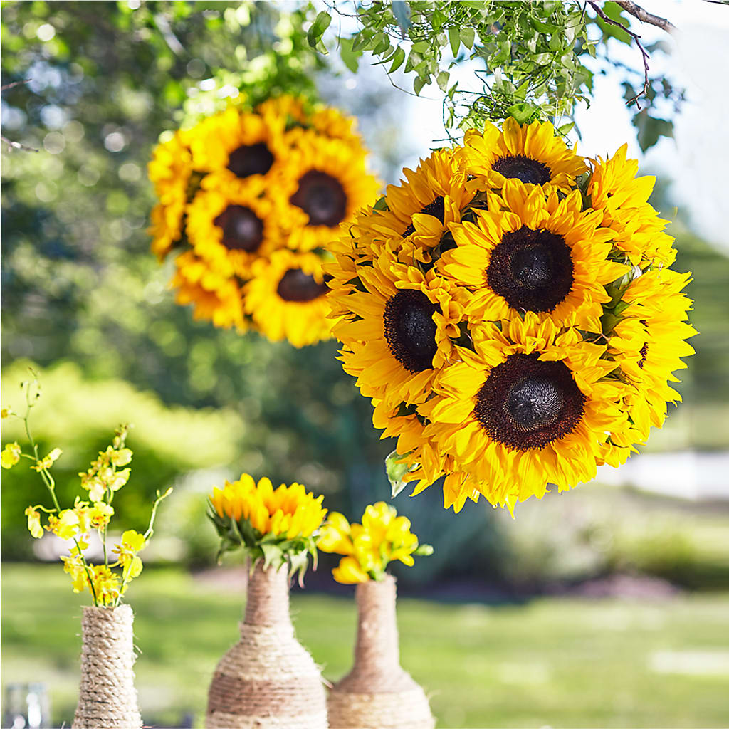 Sublime Garden Hanging Arrangement –  Natural Flowers Llc, Centreville VA