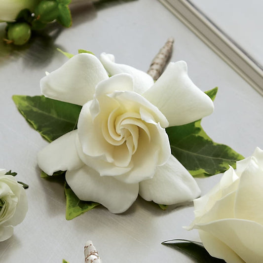 Gardenia Boutonniere –  Natural Flowers Llc, Centreville VA