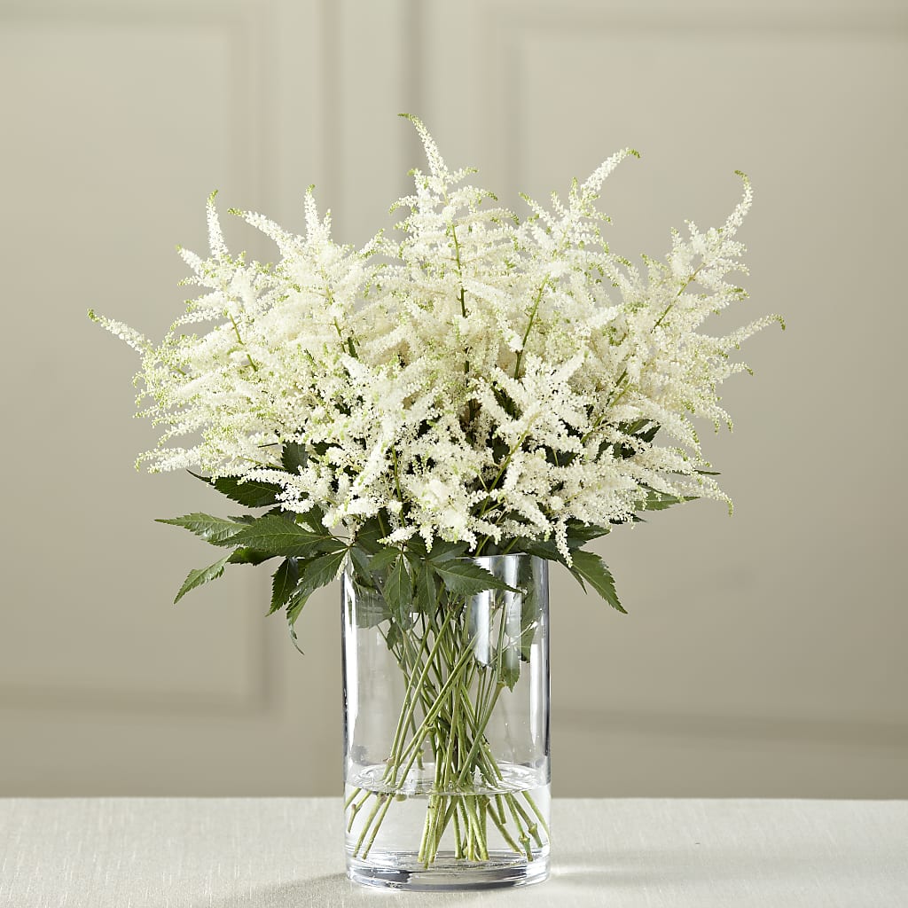 White Astilbe Bouquet –  Natural Flowers Llc, Centreville VA