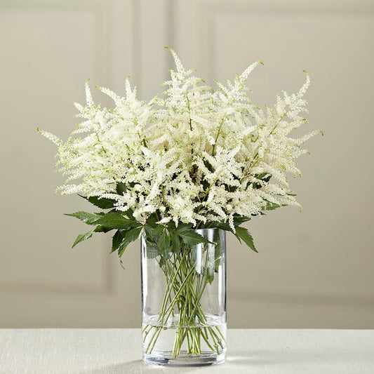 White Astilbe Bouquet –  Natural Flowers Llc, Centreville VA