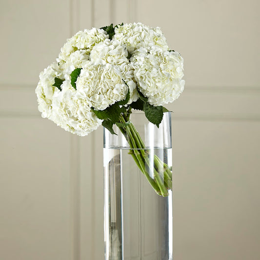White Hydrangea Hand-Tied Bouquet –  Natural Flowers Llc, Centreville VA