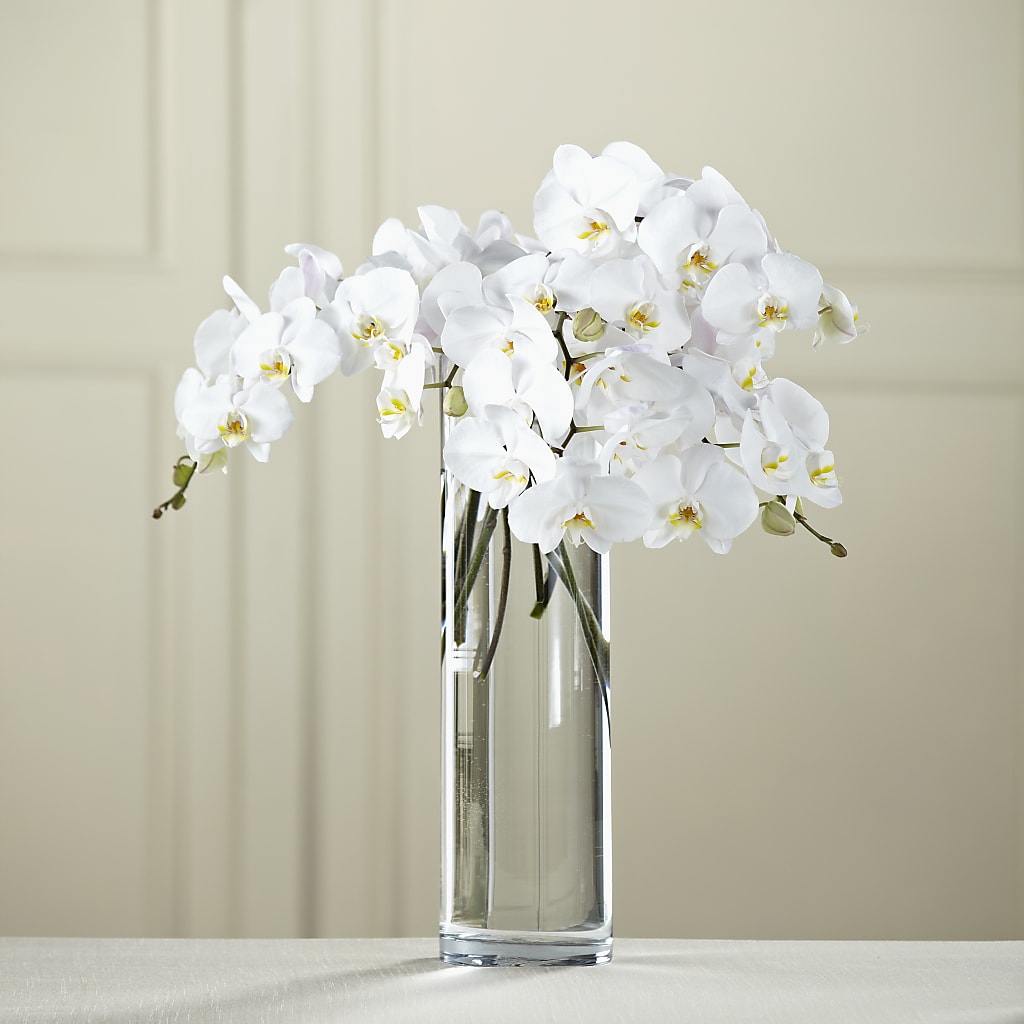 White Phalaenopsis Bouquet –  Natural Flowers Llc, Centreville VA