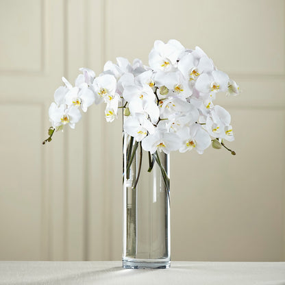 White Phalaenopsis Bouquet –  Natural Flowers Llc, Centreville VA
