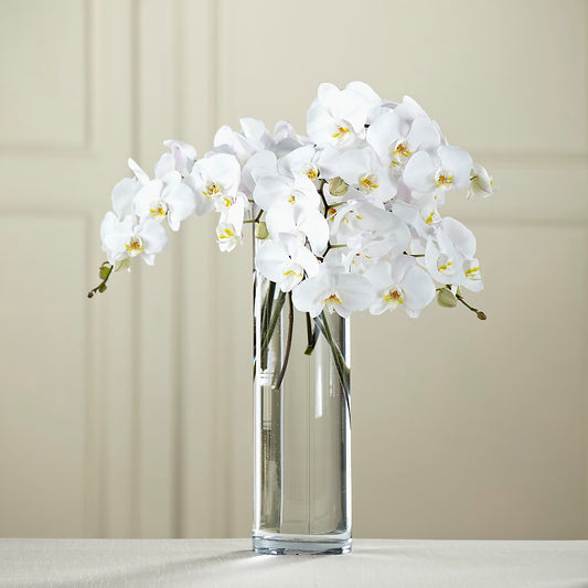 White Phalaenopsis Bouquet –  Natural Flowers Llc, Centreville VA