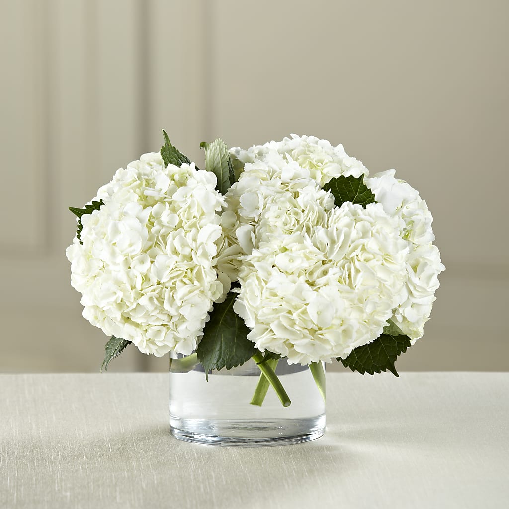 White Hydrangea Bouquet –  Natural Flowers Llc, Centreville VA