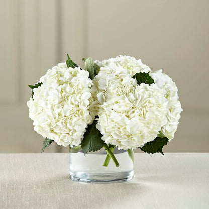 White Hydrangea Bouquet –  Natural Flowers Llc, Centreville VA