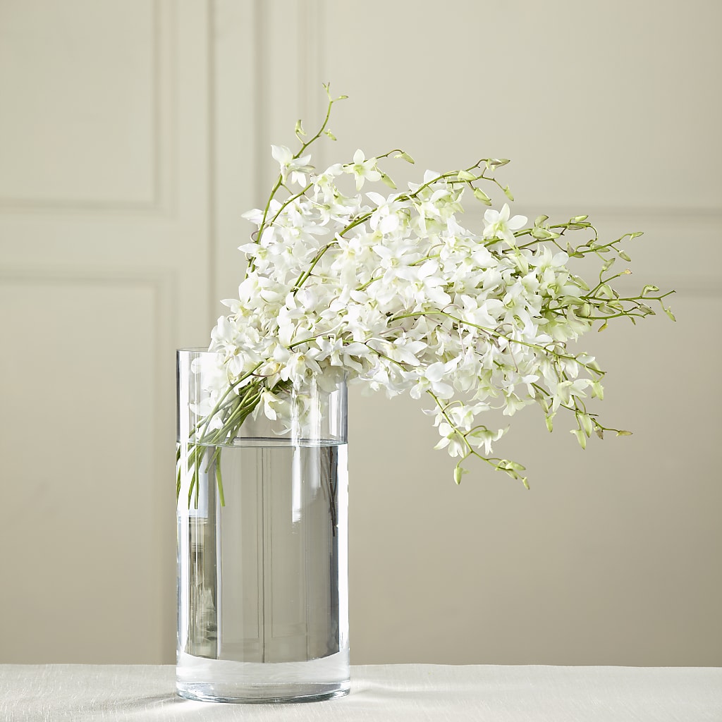 White Dendrobium Bouquet –  Natural Flowers Llc, Centreville VA