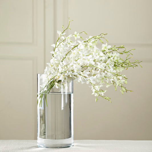 White Dendrobium Bouquet –  Natural Flowers Llc, Centreville VA
